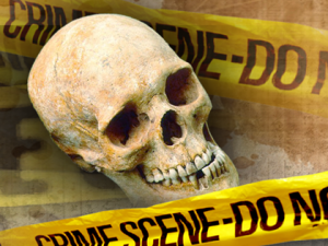 Human Remains Found
